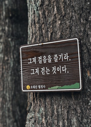 ⓒ정태겸