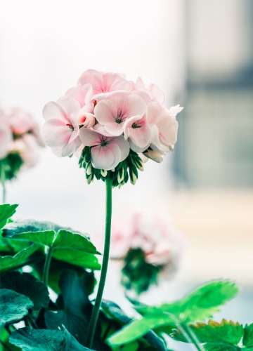 ⓒ Jerry Wang on Unsplash