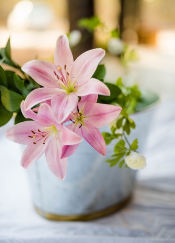 ⓒ Hannah Olinger on Unsplash