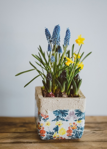 Annie Spratt on unsplash